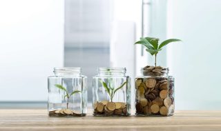 plants-money-growth