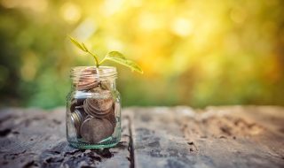 Business investment growth concept