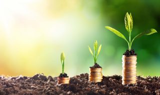 Growing Money - Chart In Rise