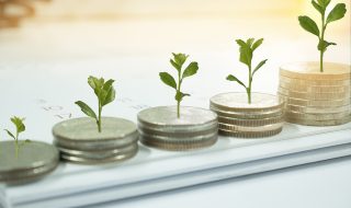 Coin with tree in mutual funds dollar-cost averaging concept.