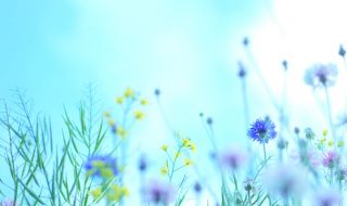 spring-2022-th-web